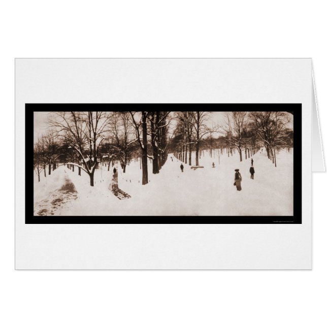 雪のボストン公有地、MAの写真1904年 (正面横)