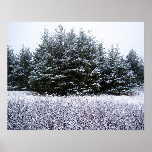雪のポスター ポスター (正面)