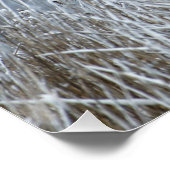 雪のポスタ飛んでいるーにグレイラグのゲーゼ ポスター (コーナー)