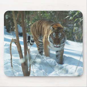 雪のマウスパッドのシベリアトラの歩く マウスパッド