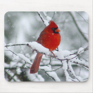 雪のマウスパッドの赤い(鳥)ショウジョウコウカンチョウ マウスパッド