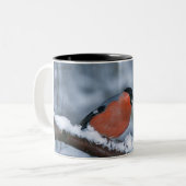 雪のマグのオスのBullfinch ツートーンマグカップ (正面左)