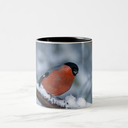 雪のマグのオスのBullfinch ツートーンマグカップ (中央)