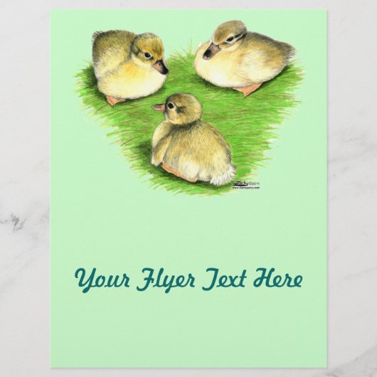 雪のマラードアヒル チラシ (正面)