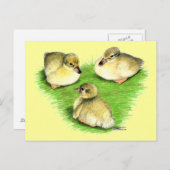 雪のマラードアヒル ポストカード (正面/裏面)