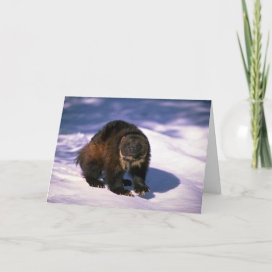 雪のミシガン州人 カード (正面)