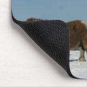 雪のミニチュア馬のグループ マウスパッド (コーナー)