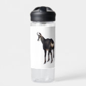 雪のミニマル上でアルパインシャモア山ヤギ ウォーターボトル (正面)