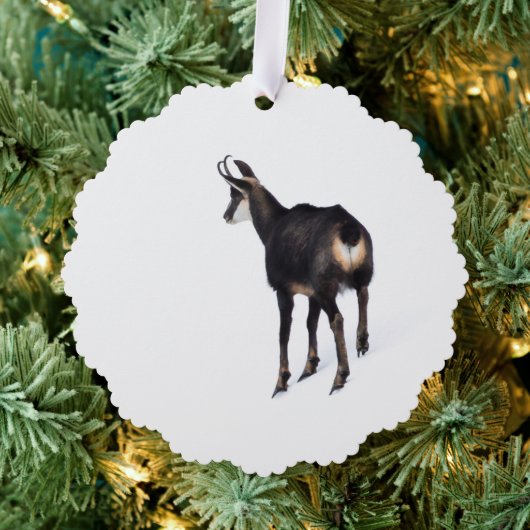 雪のミニマル上でアルパインシャモア山ヤギ オーナメントカード (インサイチュ (木))