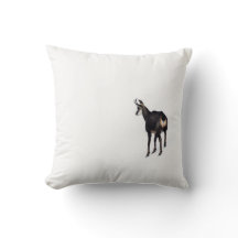 雪のミニマル上でアルパインシャモア山ヤギ