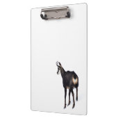 雪のミニマル上でアルパインシャモア山ヤギ クリップボード (左)
