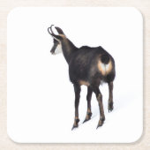 雪のミニマル上でアルパインシャモア山ヤギ スクエアペーパーコースター (正面)