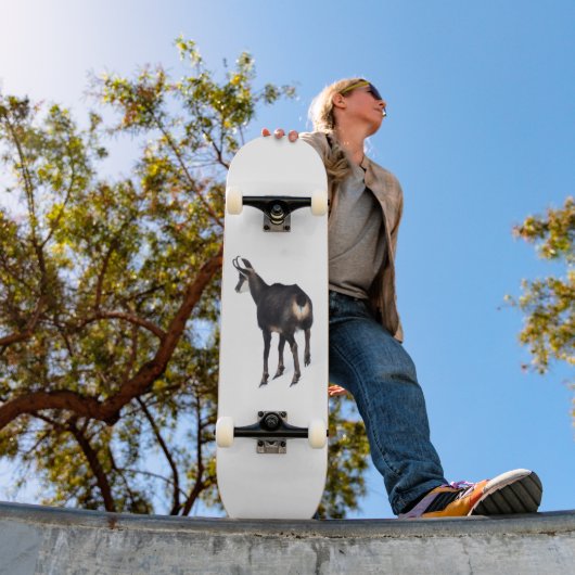 雪のミニマル上でアルパインシャモア山ヤギ スケートボード (室外1)