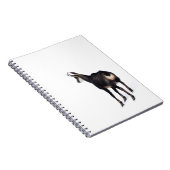 雪のミニマル上でアルパインシャモア山ヤギ ノートブック (右側)