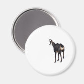 雪のミニマル上でアルパインシャモア山ヤギ マグネット (正面/裏面)