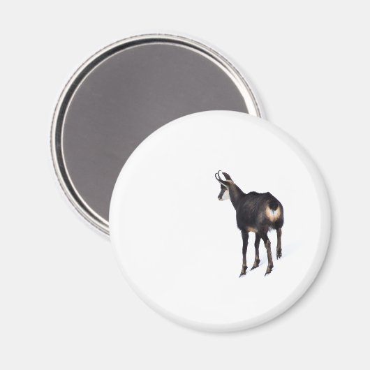 雪のミニマル上でアルパインシャモア山ヤギ マグネット (正面/裏面)