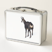 雪のミニマル上でアルパインシャモア山ヤギ メタルランチボックス (正面)