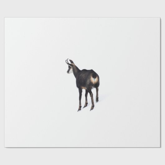 雪のミニマル上でアルパインシャモア山ヤギ ラッピングペーパー (フラット)