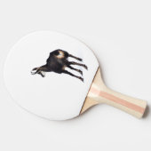雪のミニマル上でアルパインシャモア山ヤギ 卓球ラケット (横)