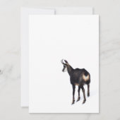 雪のミニマル上でアルパインシャモア山ヤギ 招待状 (正面)