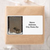 雪のムース ラベル (インサイチュ)