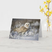 雪のメンフクロウ カード (黄色い花)