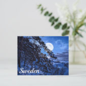 雪のモミの木と夜の海岸の上の月 ポストカード (スタンド正面)