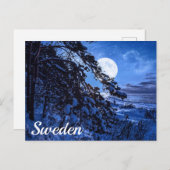 雪のモミの木と夜の海岸の上の月 ポストカード (正面/裏面)