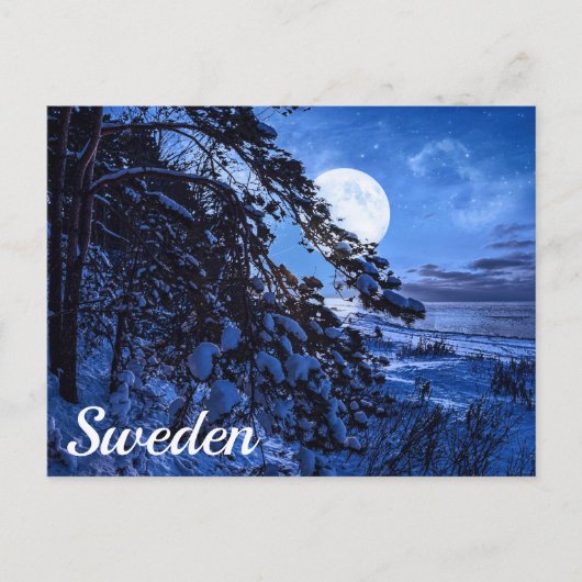 雪のモミの木と夜の海岸の上の月 ポストカード (正面)