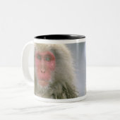 雪のモンキーカップル日本の、マカク。 ツートーンマグカップ (正面左)