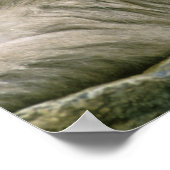 雪のモンキーカップル日本の、マカク。 ポスター (角)