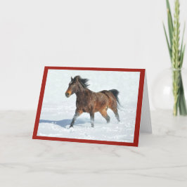 雪のランニングクリスマスカードで馬のマスタング カード