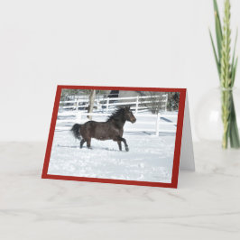 雪のランニングクリスマスカードで馬のマスタング カード