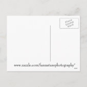 雪のリスことわざメリークリスマス シーズンポストカード (裏面)