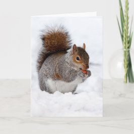 雪のリス カード