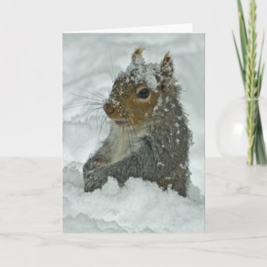 雪のリス カード (正面)