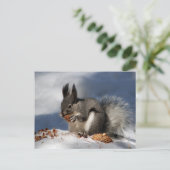 雪のリス ポストカード (スタンド正面)