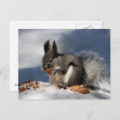 雪のリス ポストカード (正面/裏面)