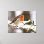 雪のロビン キャンバスプリント (正面)