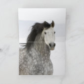 雪のロンプ馬グリーティングカード カード (内部)