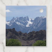 雪のローンパインの山のキャップ フェイバータグ (裏面)