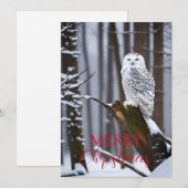 雪のワンダーランドに佇む賢いフクロウ シーズンカード (正面/裏面)