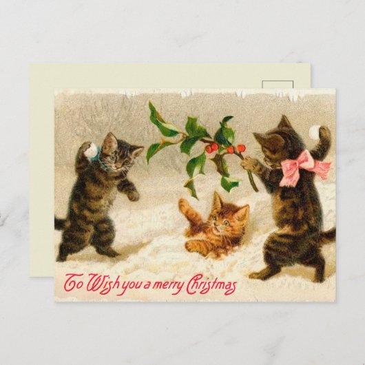 雪のヴィンテージのクリスマスで遊んでいる猫 シーズンポストカード (正面/裏面)
