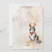 雪のヴィンテージベルネーズマウンテンドッグウォーター色 シーズンカード (裏面)