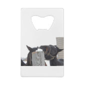 雪の上で噛む2頭の馬 クレジットカード栓抜き (裏面)