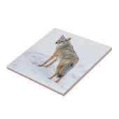 雪の上で警戒する タイル (側面)