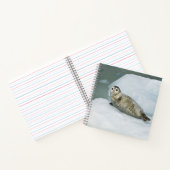 雪の上にかわいいハーバーシール ノートブック (内部)