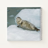 雪の上にかわいいハーバーシール ノートブック (裏面)