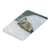 雪の上にかわいいハーバーシール マグネット (左側)