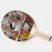 雪の上に大人の黒いキャップの《鳥》アメリカゴガラ 卓球ラケット (横)